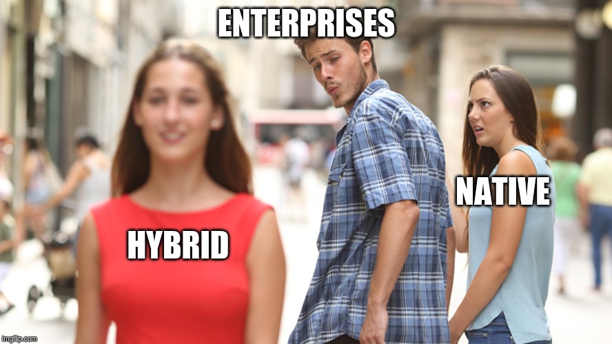 Native vs Hybrid app - What to Choose?-img