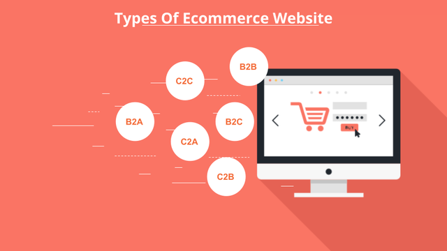 types of ecommerce website 