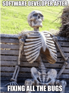 Software developer after bug fixing 