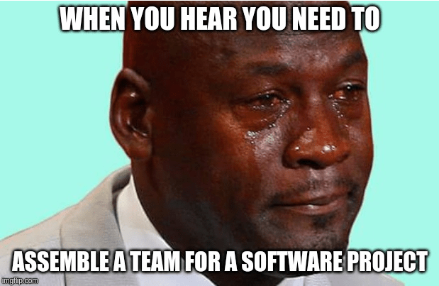 In-house software development