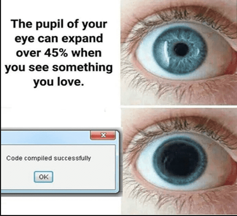 Successful web development