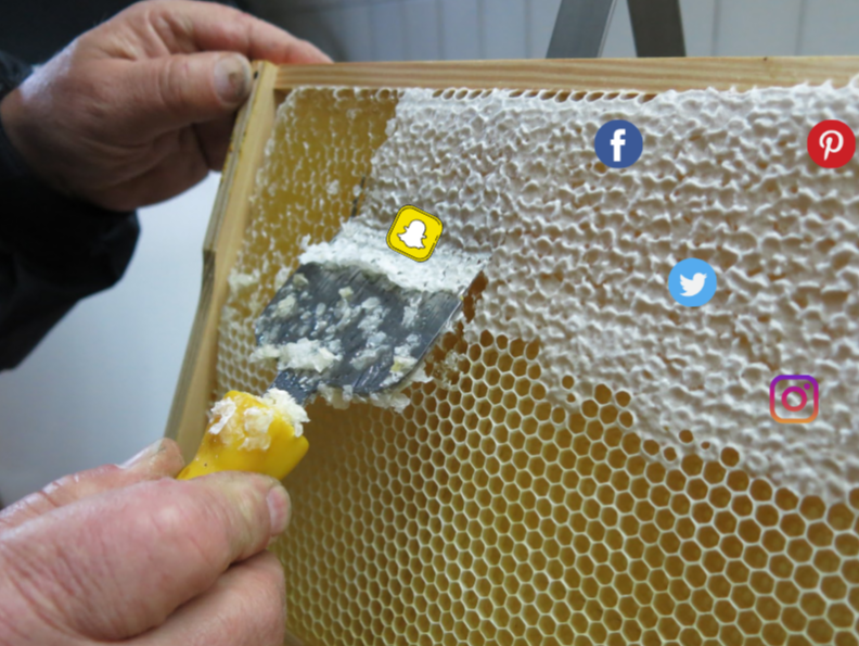 social media scraping