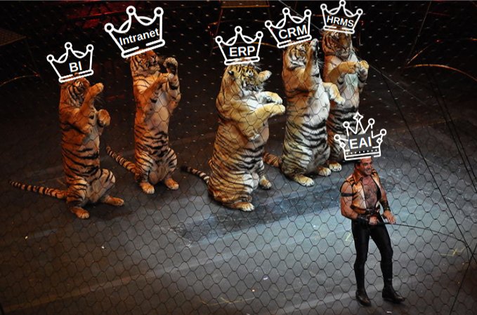 Trained tigers with their ring master