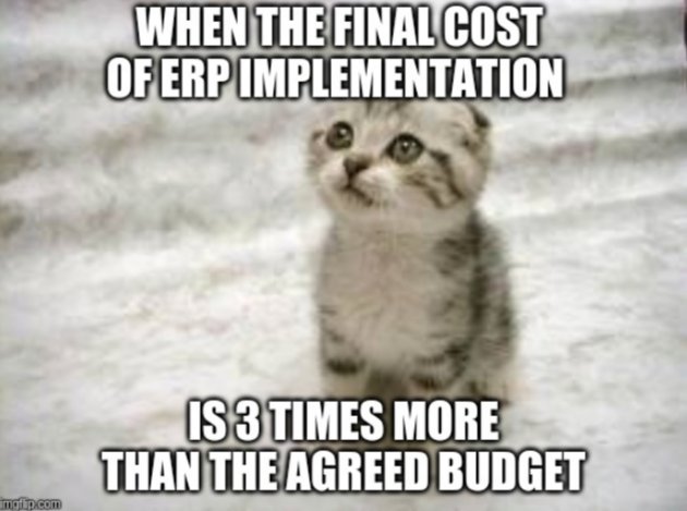 ERP implementation problem meme