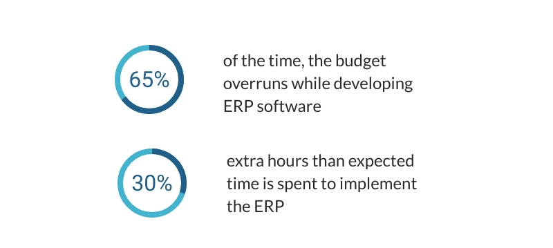 what to keep in mind while developing custom ERP?